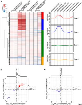 Systematic Analysis of the Impact of R-Methylation on RBPs-RNA Interactions: A Proteomic Approach